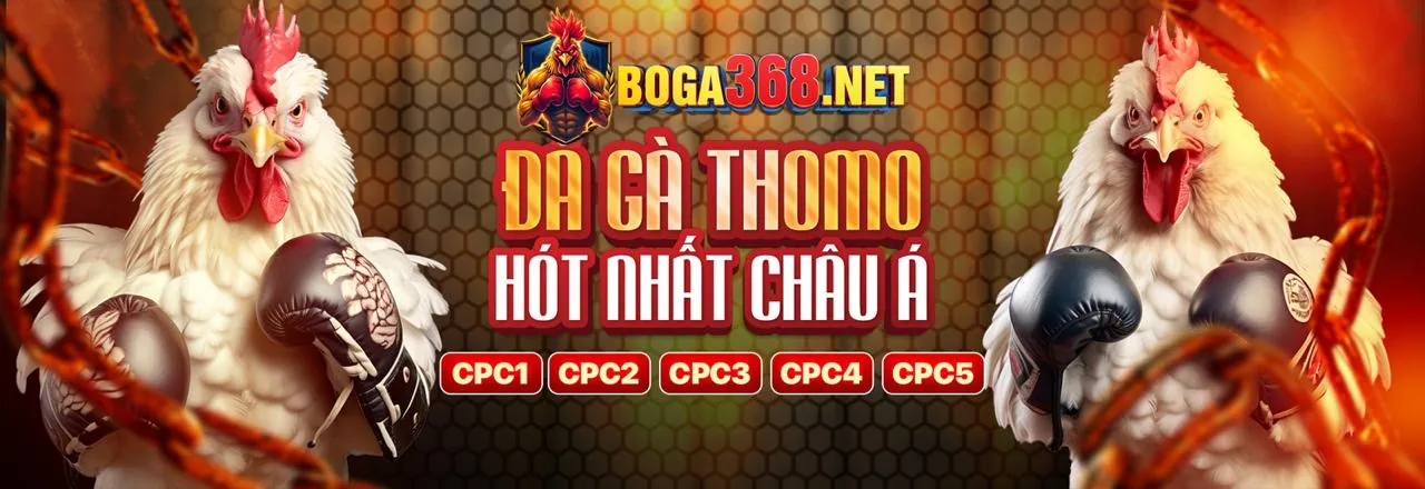 Hình ảnh đăng ký go8pro an toàn và nhanh chóng